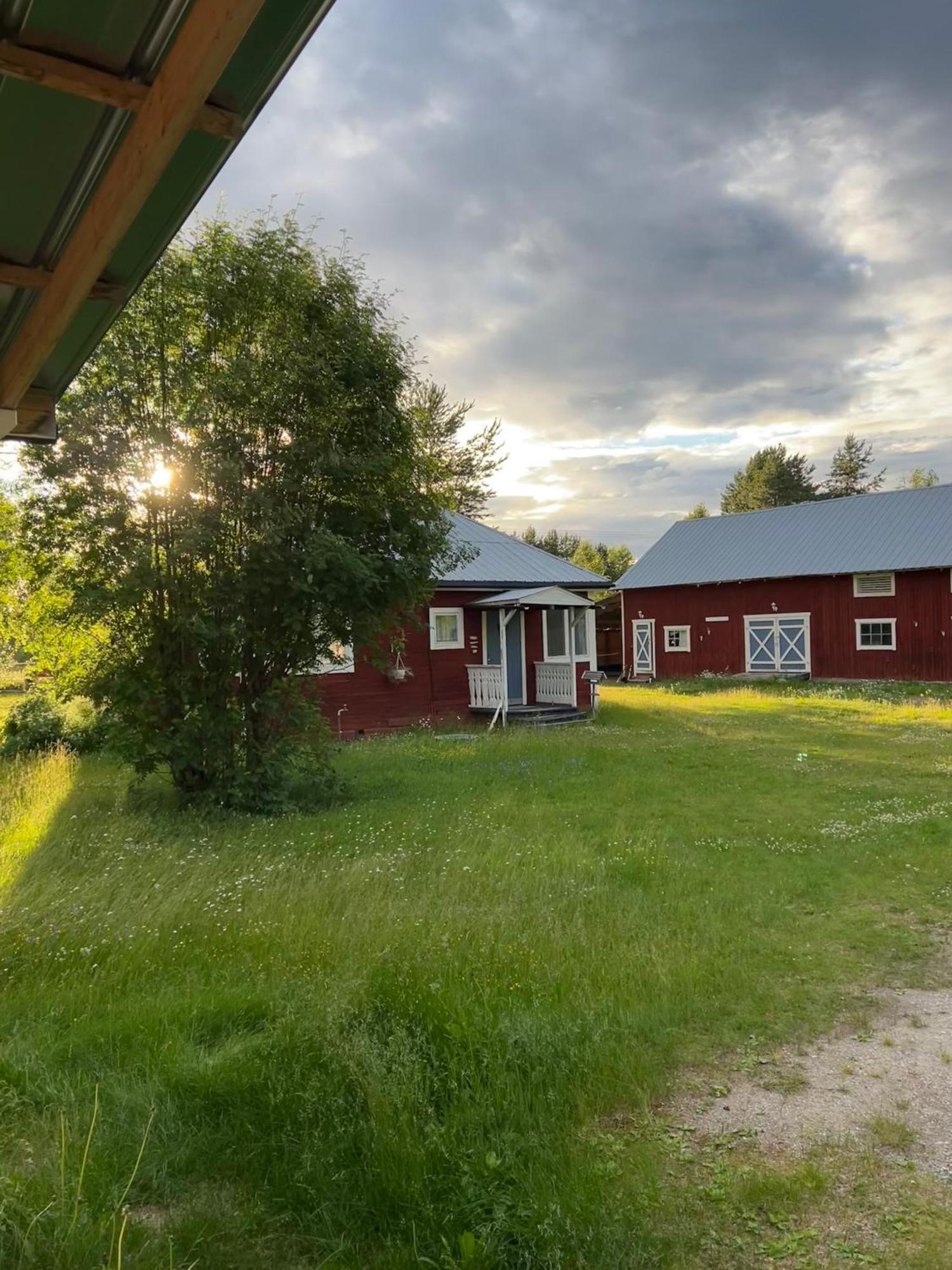 Villa Hus I Ljuset à Näsåker Extérieur photo