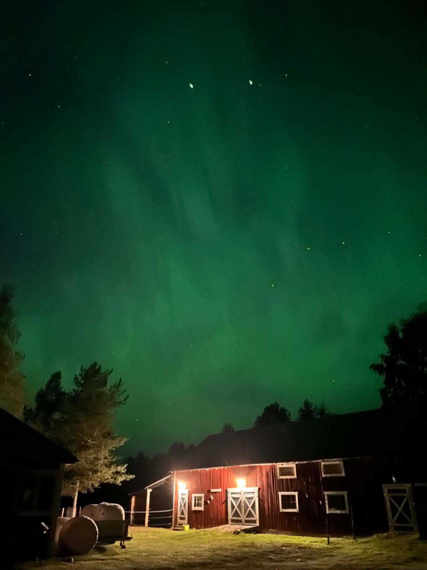 Villa Hus I Ljuset à Näsåker Extérieur photo
